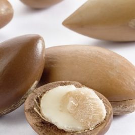 Como se produce el aceite de argán